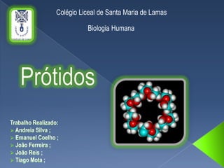 Colégio Liceal de Santa Maria de Lamas Biologia Humana Prótidos Trabalho Realizado: ,[object Object]