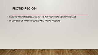 PROTID REGION.LOCATION AND BOUNDRIES WITHOUT IMAGES | PPTX