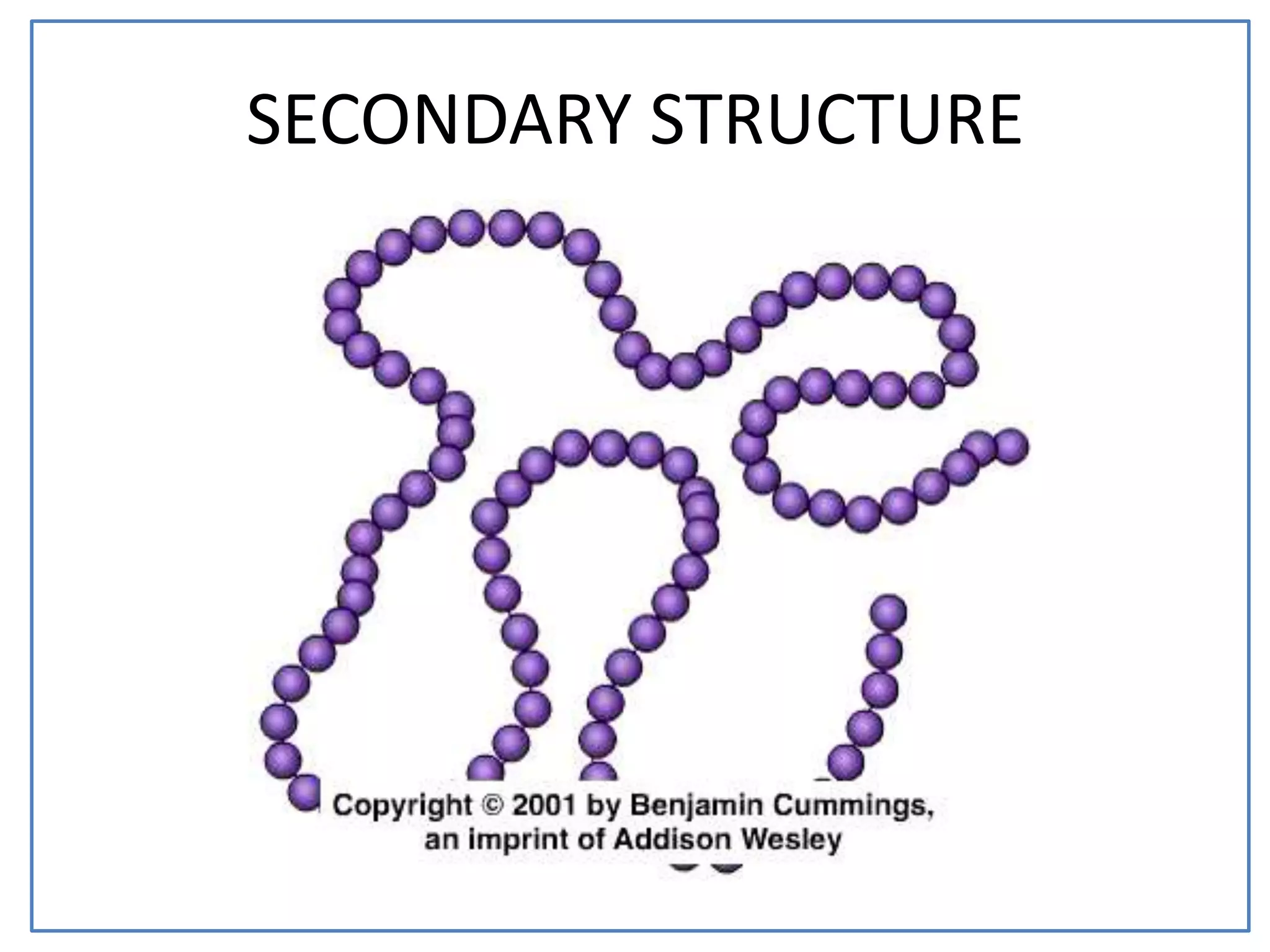 SECONDARY STRUCTURE
 
