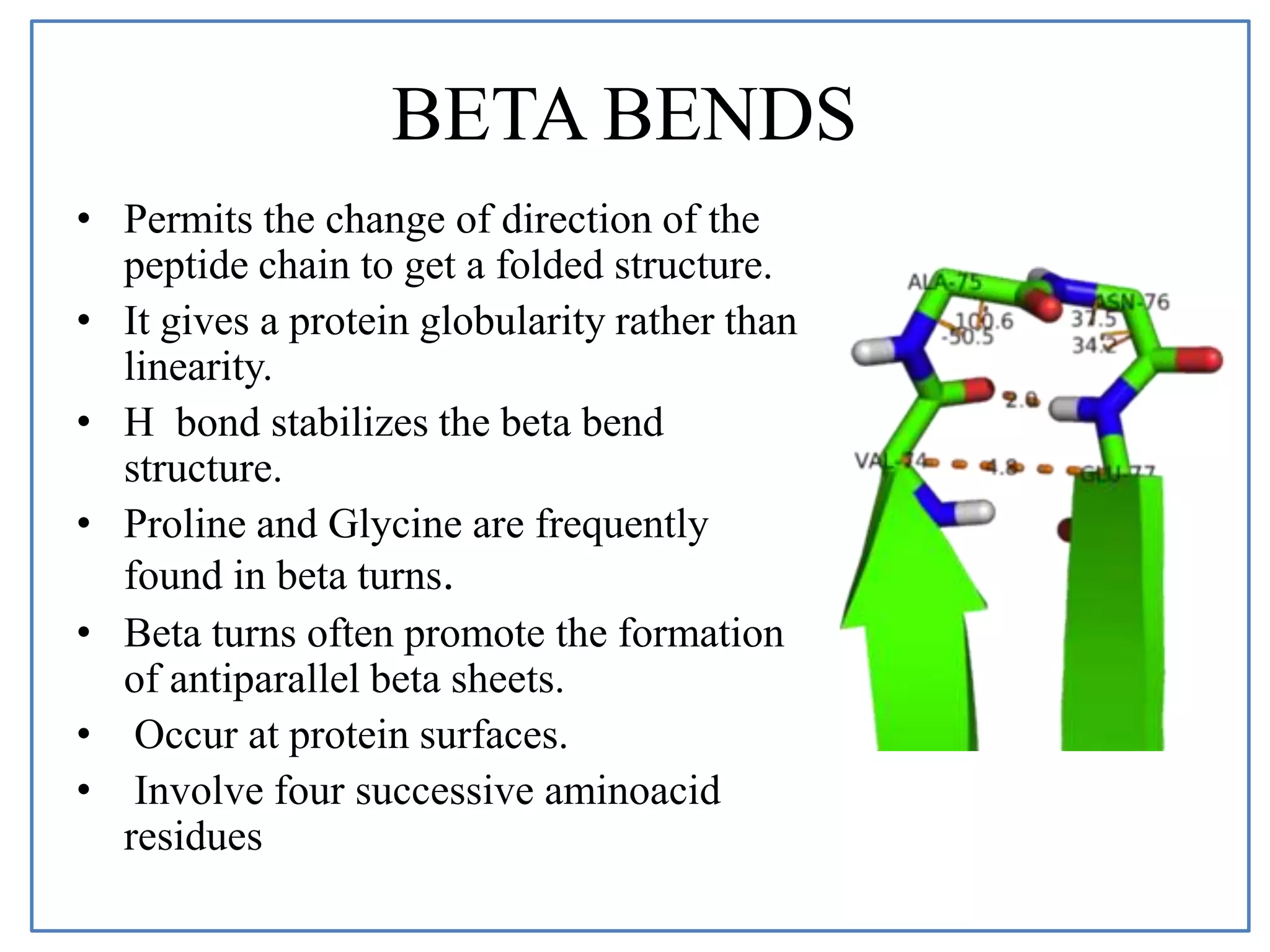 BETA BENDS
• Permits the change of direction of the
peptide chain to get a folded structure.
• It gives a protein globularity rather than
linearity.
• H bond stabilizes the beta bend
structure.
• Proline and Glycine are frequently
found in beta turns.
• Beta turns often promote the formation
of antiparallel beta sheets.
• Occur at protein surfaces.
• Involve four successive aminoacid
residues
 