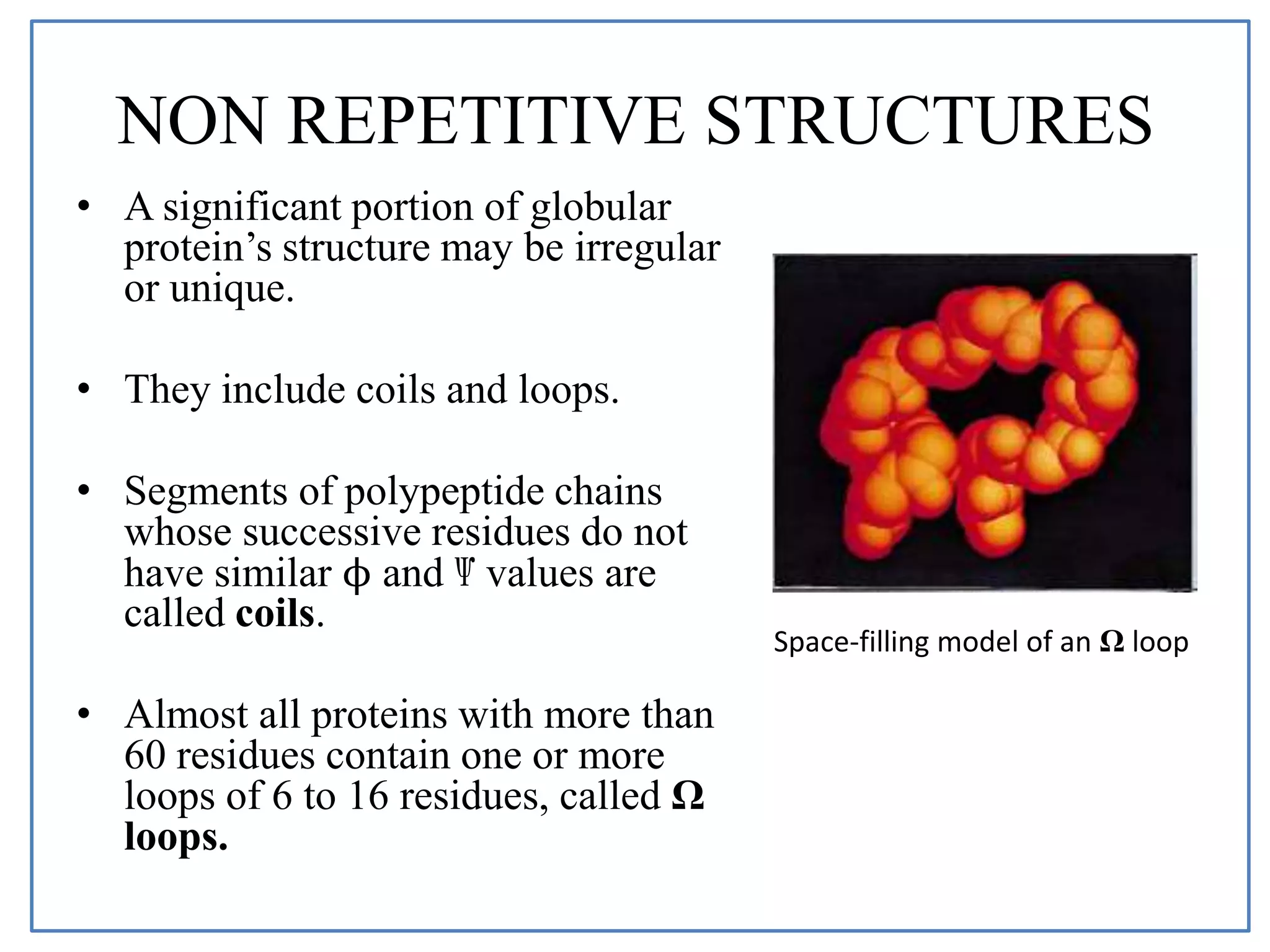 NON REPETITIVE STRUCTURES
• A significant portion of globular
protein’s structure may be irregular
or unique.
• They include coils and loops.
• Segments of polypeptide chains
whose successive residues do not
have similar ϕ and Ѱ values are
called coils.
• Almost all proteins with more than
60 residues contain one or more
loops of 6 to 16 residues, called Ω
loops.
Space-filling model of an Ω loop
 