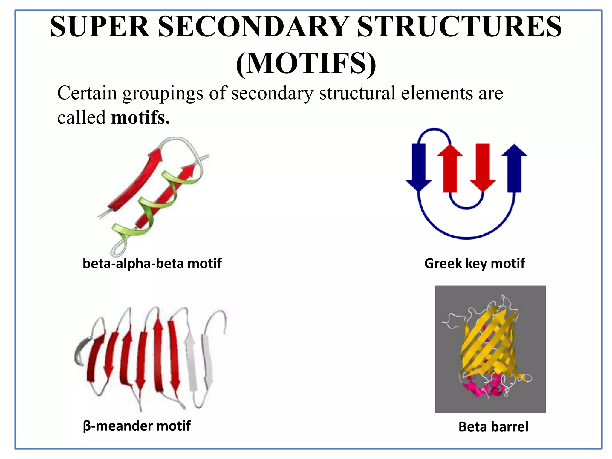 SUPER SECONDARY STRUCTURES
(MOTIFS)
Beta barrelβ-meander motif
beta-alpha-beta motif Greek key motif
Certain groupings of secondary structural elements are
called motifs.
 