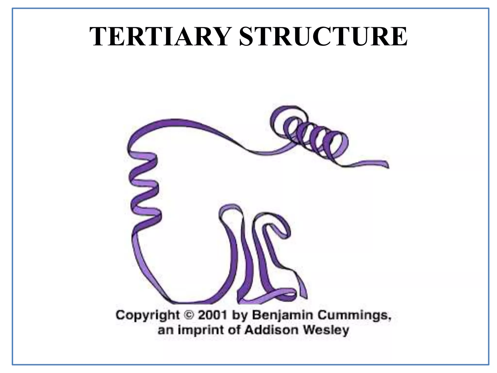 TERTIARY STRUCTURE
 