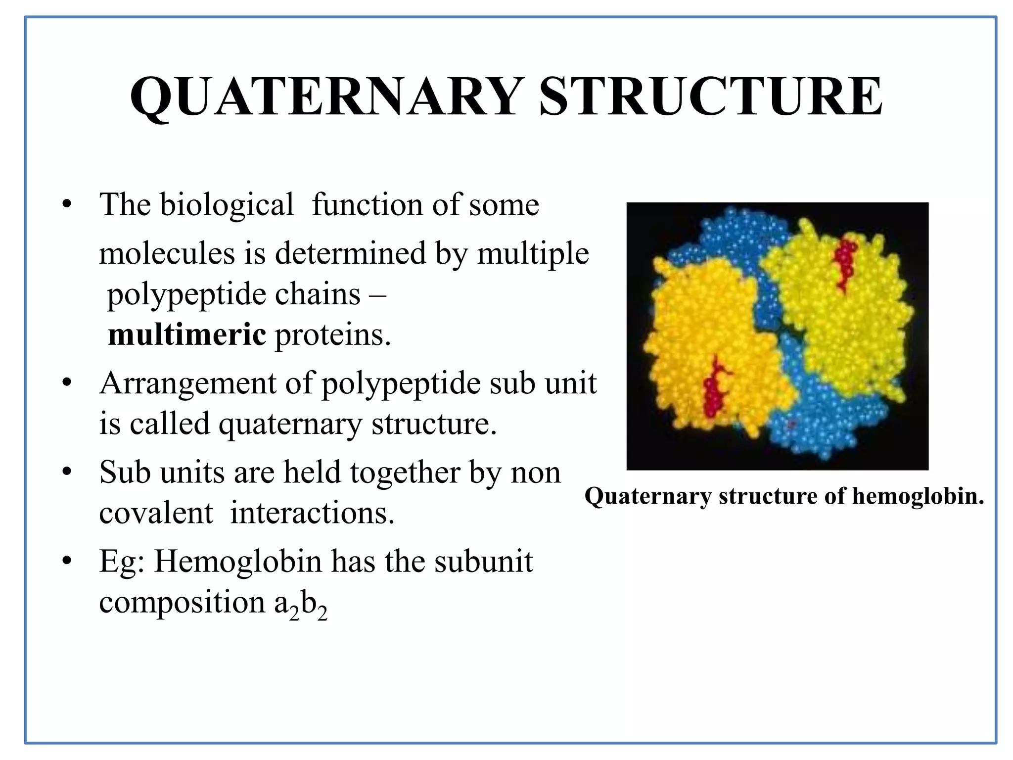 • The biological function of some
molecules is determined by multiple
polypeptide chains –
multimeric proteins.
• Arrangement of polypeptide sub unit
is called quaternary structure.
• Sub units are held together by non
covalent interactions.
• Eg: Hemoglobin has the subunit
composition a2b2
QUATERNARY STRUCTURE
Quaternary structure of hemoglobin.
 