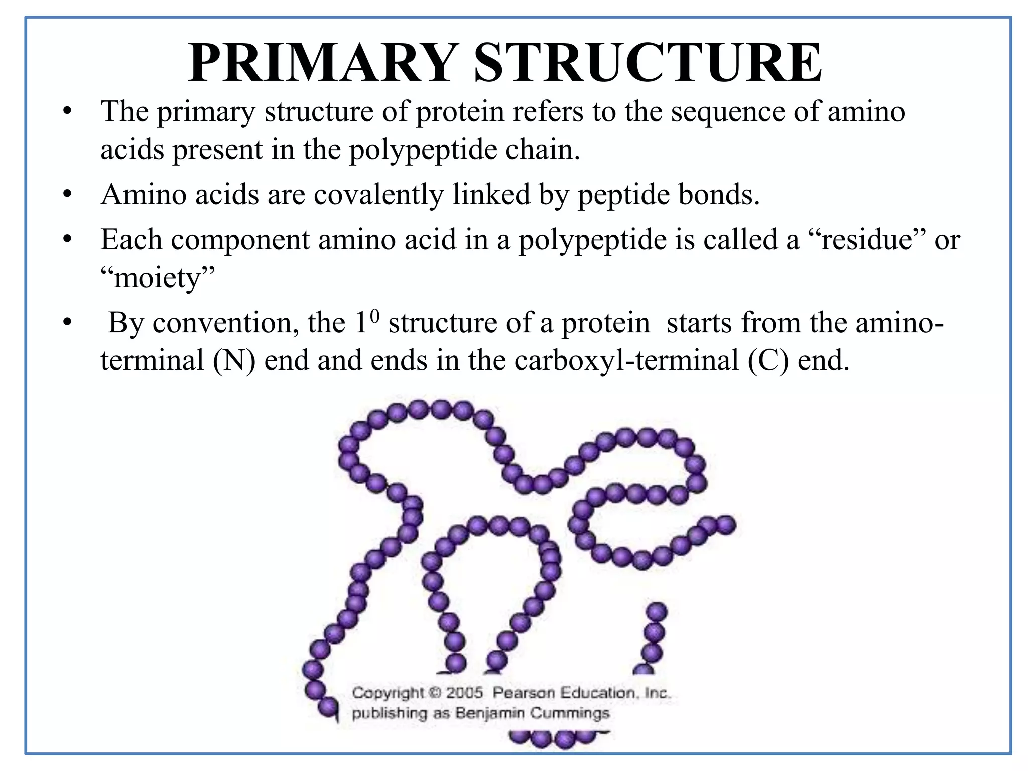 PRIMARY STRUCTURE
• The primary structure of protein refers to the sequence of amino
acids present in the polypeptide chain.
• Amino acids are covalently linked by peptide bonds.
• Each component amino acid in a polypeptide is called a “residue” or
“moiety”
• By convention, the 10 structure of a protein starts from the amino-
terminal (N) end and ends in the carboxyl-terminal (C) end.
 
