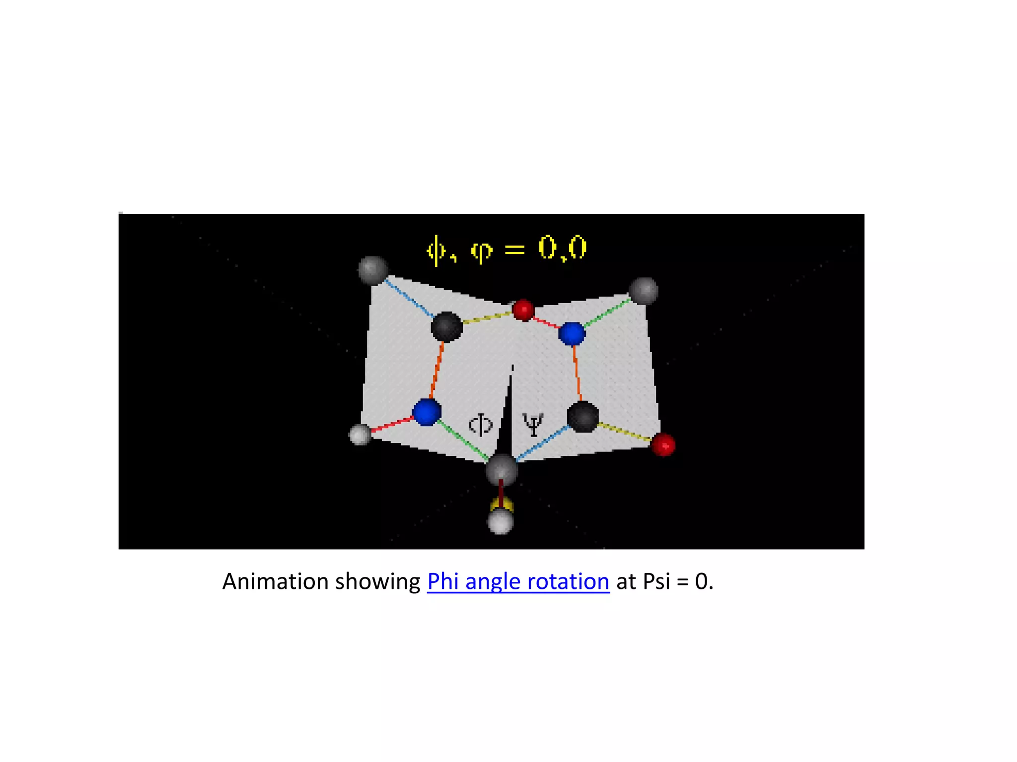 Animation showing Phi angle rotation at Psi = 0.
 