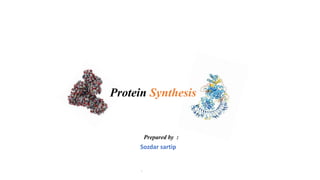 Prepared by :
Sozdar sartip
Protein Synthesis
/
 