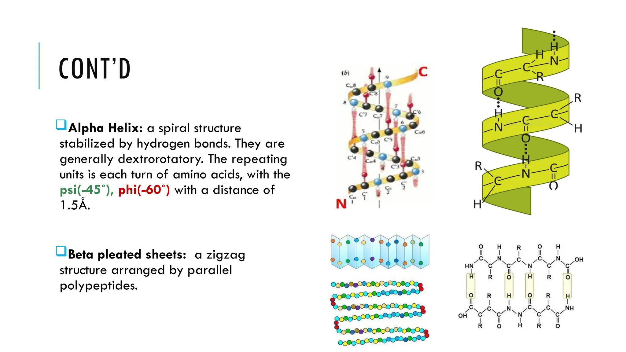 Introduction to Proteins and Amino acids | PPTX