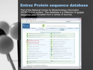Entrez System Protein Database Tools on NCBI for Bioinformatics | PPT