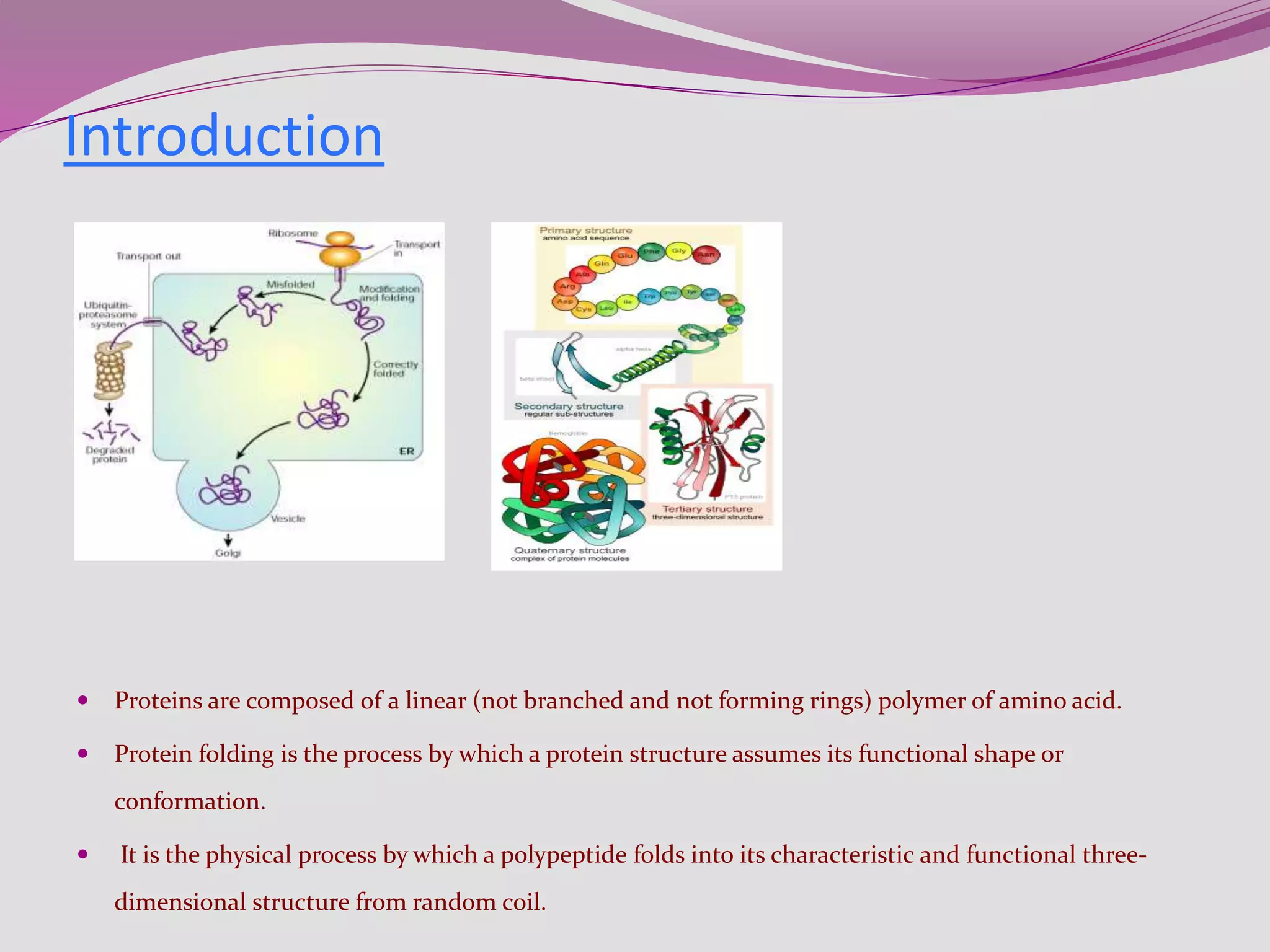 Protien folding by kk sahu 2 | PPT