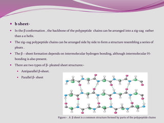  b sheet-
 In the β conformation , the backbone of the polypeptide chains can be arranged into a zig-zag rather
than a α helix.
 The zig–zag polypeptide chains can be arranged side by side to form a structure resembling a series of
pleats .
 The β – sheet formation depends on intermolecular hydrogen bonding, although intermolecular H-
bonding is also present.
 There are two types of β- pleated sheet structures:-
 Antiparallel β-sheet.
 Parallel β- sheet
Figure:- . A β sheet is a common structure formed by parts of the polypeptide chains
 