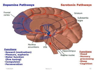 1/28/2024 10
Melese.S
 
