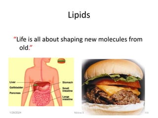 Lipids
“Life is all about shaping new molecules from
old.”
1/28/2024 116
Melese.S
 