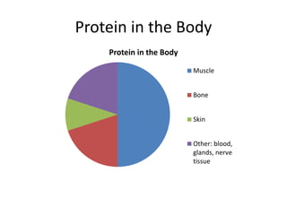 Protein in the Body
Protein in the Body
Muscle
Bone
Skin
Other: blood,
glands, nerve
tissue
 