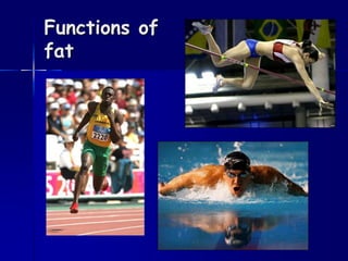 Functions of
fat
 