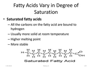 Fatty Acids Vary in Degree of
Saturation
• Saturated fatty acids
– All the carbons on the fatty acid are bound to
hydrogen
– Usually more solid at room temperature
– Higher melting point
– More stable
1/28/2024 129
Melese.S
 