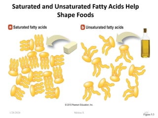 Saturated and Unsaturated Fatty Acids Help
Shape Foods
Figure 5.3
1/28/2024 131
Melese.S
 
