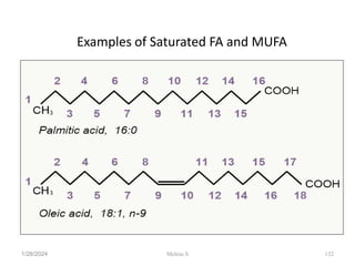 Examples of Saturated FA and MUFA
1/28/2024 132
Melese.S
 