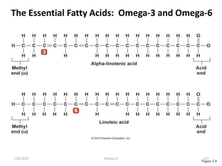The Essential Fatty Acids: Omega-3 and Omega-6
Figure 5.4
1/28/2024 143
Melese.S
 