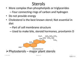 Sterols
• More complex than phospholipids or triglycerides
– Four connecting rings of carbon and hydrogen
• Do not provide energy
• Cholesterol is the best known sterol; Not essential in
diet
– Part of cell membrane structure
– Used to make bile, steroid hormones, provitamin D
Phytosterols – major plant sterols
Figure 5.11
1/28/2024 179
Melese.S
 