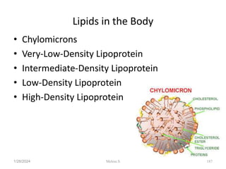 Lipids in the Body
• Chylomicrons
• Very-Low-Density Lipoprotein
• Intermediate-Density Lipoprotein
• Low-Density Lipoprotein
• High-Density Lipoprotein
1/28/2024 187
Melese.S
 