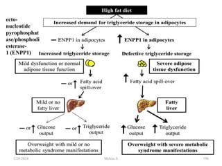 1/28/2024 196
ecto-
nucleotide
pyrophosphat
ase/phosphodi
esterase-
1 (ENPP1)
Melese.S
 