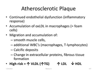 Atherosclerotic Plaque
• Continued endothelial dysfunction (inflammatory
response)
• Accumulation of oxLDL in macrophages (= foam
cells)
• Migration and accumulation of:
– smooth muscle cells,
– additional WBC’s (macrophages, T-lymphocytes)
– Calcific deposits
– Change in extracellular proteins, fibrous tissue
formation
• High risk =  VLDL (TG)  LDL  HDL
1/28/2024 197
Melese.S
 