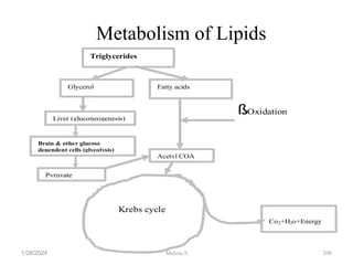 Metabolism of Lipids
1/28/2024 200
ß
-Oxidation
Acetyl COA
Co2+H2o+Energy
Triglycerides
Glycerol Fatty acids
Liver (gluconeogenesis)
Brain & other glucose
dependent cells (glycolysis)
Pyruvate
Krebs cycle
Melese.S
 