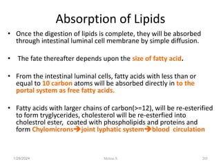 Absorption of Lipids
• Once the digestion of lipids is complete, they will be absorbed
through intestinal luminal cell membrane by simple diffusion.
• The fate thereafter depends upon the size of fatty acid.
• From the intestinal luminal cells, fatty acids with less than or
equal to 10 carbon atoms will be absorbed directly in to the
portal system as free fatty acids.
• Fatty acids with larger chains of carbon(>=12), will be re-esterified
to form tryglycerides, cholesterol will be re-esterfied into
cholestrol ester, coated with phospholipids and proteins and
form Chylomicronsjoint lyphatic systemblood circulation
1/28/2024 205
Melese.S
 