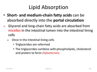Lipid Absorption
• Short- and medium-chain fatty acids can be
absorbed directly into the portal circulation
 Glycerol and long-chain fatty acids are absorbed from
micelles in the intestinal lumen into the intestinal lining
cells
 Once in the intestinal lining cells
• Triglycerides are reformed
• The triglycerides combine with phospholipids, cholesterol
and protein to form chylomicrons
1/28/2024 206
Melese.S
 