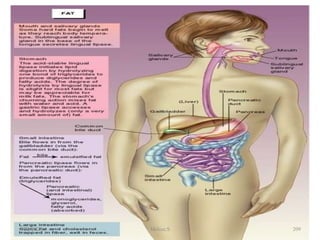 Figure 5-11 Triglyceride
digestion in the GI Tract
1/28/2024 209
Melese.S
 