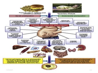 1/28/2024 211
Melese.S
 