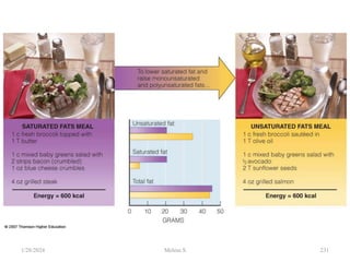 1/28/2024 231
Melese.S
 
