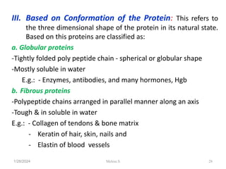 III. Based on Conformation of the Protein: This refers to
the three dimensional shape of the protein in its natural state.
Based on this proteins are classified as:
a. Globular proteins
-Tightly folded poly peptide chain - spherical or globular shape
-Mostly soluble in water
E.g.: - Enzymes, antibodies, and many hormones, Hgb
b. Fibrous proteins
-Polypeptide chains arranged in parallel manner along an axis
-Tough & in soluble in water
E.g.: - Collagen of tendons & bone matrix
- Keratin of hair, skin, nails and
- Elastin of blood vessels
1/28/2024 28
Melese.S
 