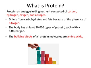 What is Protein?
Protein: an energy-yielding nutrient composed of carbon,
hydrogen, oxygen, and nitrogen.
• Differs from carbohydrates and fats because of the presence of
nitrogen.
• The body has at least 30,000 types of protein, each with a
different job.
• The building blocks of all protein molecules are amino acids.
 