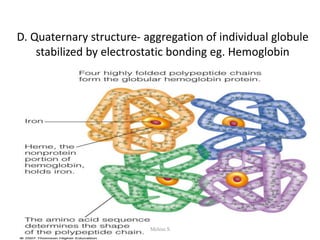D. Quaternary structure- aggregation of individual globule
stabilized by electrostatic bonding eg. Hemoglobin
1/28/2024 31
Melese.S
 