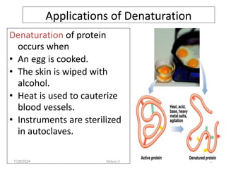 Applications of Denaturation
Denaturation of protein
occurs when
• An egg is cooked.
• The skin is wiped with
alcohol.
• Heat is used to cauterize
blood vessels.
• Instruments are sterilized
in autoclaves.
1/28/2024 43
Melese.S
 
