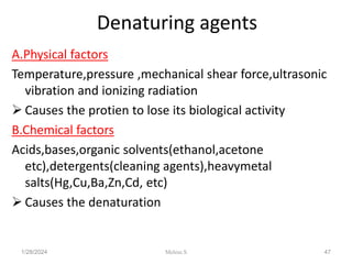 Denaturing agents
A.Physical factors
Temperature,pressure ,mechanical shear force,ultrasonic
vibration and ionizing radiation
 Causes the protien to lose its biological activity
B.Chemical factors
Acids,bases,organic solvents(ethanol,acetone
etc),detergents(cleaning agents),heavymetal
salts(Hg,Cu,Ba,Zn,Cd, etc)
 Causes the denaturation
1/28/2024 47
Melese.S
 