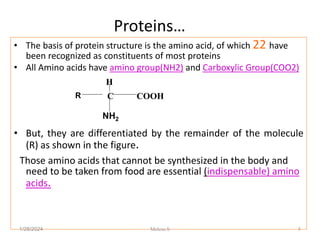 Proteins…
• The basis of protein structure is the amino acid, of which 22 have
been recognized as constituents of most proteins
• All Amino acids have amino group(NH2) and Carboxylic Group(COO2)
• But, they are differentiated by the remainder of the molecule
(R) as shown in the figure.
Those amino acids that cannot be synthesized in the body and
need to be taken from food are essential (indispensable) amino
acids.
1/28/2024 5
C
H
COOH
R
NH2
Melese.S
 
