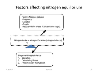Factors affecting nitrogen equilibrium
Nitrogen intake = Nitrogen Excretion (nitrogen balance)
?
Positive Nitrogen balance
-Pregnancy
-Lactation
-Growth
-Recovery from Illness (Convalescent stage)
Negative Nitrogen balance
1. Starvation
2. Devastating illness
3. Protein energy malnutrition
1/28/2024 50
Melese.S
 
