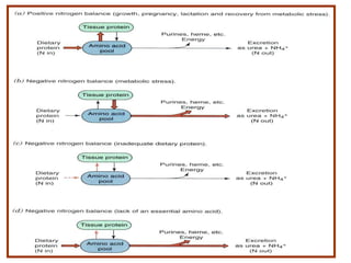 1/28/2024 Melese.S 53
 