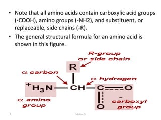 • Note that all amino acids contain carboxylic acid groups
(-COOH), amino groups (-NH2), and substituent, or
replaceable, side chains (-R).
• The general structural formula for an amino acid is
shown in this figure.
1/28/2024 6
Melese.S
 