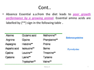 Cont..
• Absence Essential a.a.from the diet leads to poor growth
performance by a growing animal. Essential amino acids are
labelled by (**) sign in the following table .
1/28/2024 7
Selenocysteine
Pyrrolysine
22
Melese.S
 