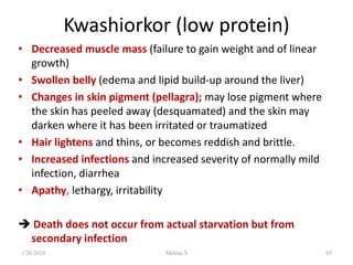 Kwashiorkor (low protein)
• Decreased muscle mass (failure to gain weight and of linear
growth)
• Swollen belly (edema and lipid build-up around the liver)
• Changes in skin pigment (pellagra); may lose pigment where
the skin has peeled away (desquamated) and the skin may
darken where it has been irritated or traumatized
• Hair lightens and thins, or becomes reddish and brittle.
• Increased infections and increased severity of normally mild
infection, diarrhea
• Apathy, lethargy, irritability
 Death does not occur from actual starvation but from
secondary infection
1/28/2024 Melese.S 85
 
