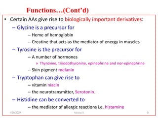 • Certain AAs give rise to biologically important derivatives:
– Glycine is a precursor for
– Heme of hemoglobin
– Creatine that acts as the mediator of energy in muscles
– Tyrosine is the precursor for
– A number of hormones
» Thyroxine, triiodothyronine, epinephrine and nor-epinephrine
– Skin pigment melanin
– Tryptophan can give rise to
– vitamin niacin
– the neurotransmitter, Serotonin.
– Histidine can be converted to
– the mediator of allergic reactions i.e. histamine
1/28/2024 9
Functions…(Cont’d)
Melese.S
 