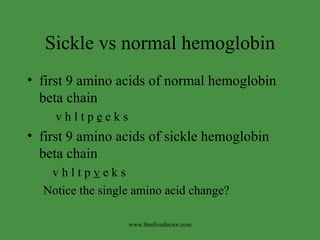 Sickle vs normal hemoglobin first 9 amino acids of normal hemoglobin  beta chain v h l t p  e  e k s  first 9 amino acids of sickle hemoglobin  beta chain v h l t p  v  e k s Notice the single amino acid change? www.freelivedoctor.com 