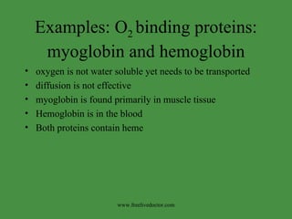 Examples: O 2  binding proteins: myoglobin and hemoglobin oxygen is not water soluble yet needs to be transported diffusion is not effective myoglobin is found primarily in muscle tissue Hemoglobin is in the blood Both proteins contain heme www.freelivedoctor.com 