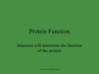 Protein Function Structure will determine the function of the protein www.freelivedoctor.com 