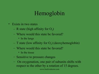 Hemoglobin Exists in two states  R state (high affinity for O 2 )  Where would this state be favored?  In the lungs T state (low affinity for O 2 ) (deoxyhemoglobin) Where would this state be favored?  In the tissue Sensitive to pressure changes On oxygenation, one pair of subunits shifts with respect to the other by a rotation of 15 degrees. www.freelivedoctor.com 