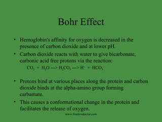 Bohr Effect Hemoglobin's affinity for oxygen is decreased in the presence of carbon dioxide and at lower pH.  Carbon dioxide reacts with water to give bicarbonate, carbonic acid free protons via the reaction:  CO 2   +  H 2 O ---> H 2 CO 3  ---> H +   +  HCO 3 -   Protons bind at various places along the protein and carbon dioxide binds at the alpha-amino group forming carbamate.  This causes a conformational change in the protein and facilitates the release of oxygen.  www.freelivedoctor.com 